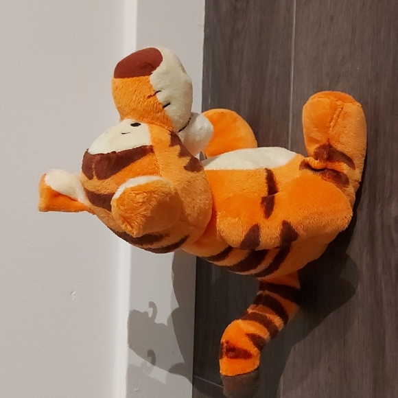 Disney's Singing Tiger - Winnie the Pooh - Picture 6 of 6